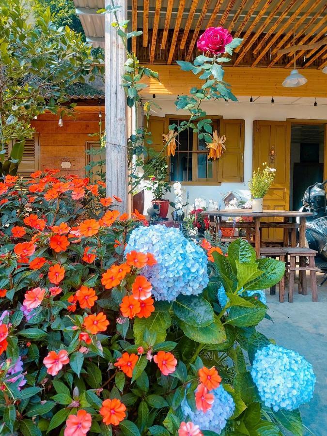 Soul Pnb Homestay Da Lat Buitenkant foto