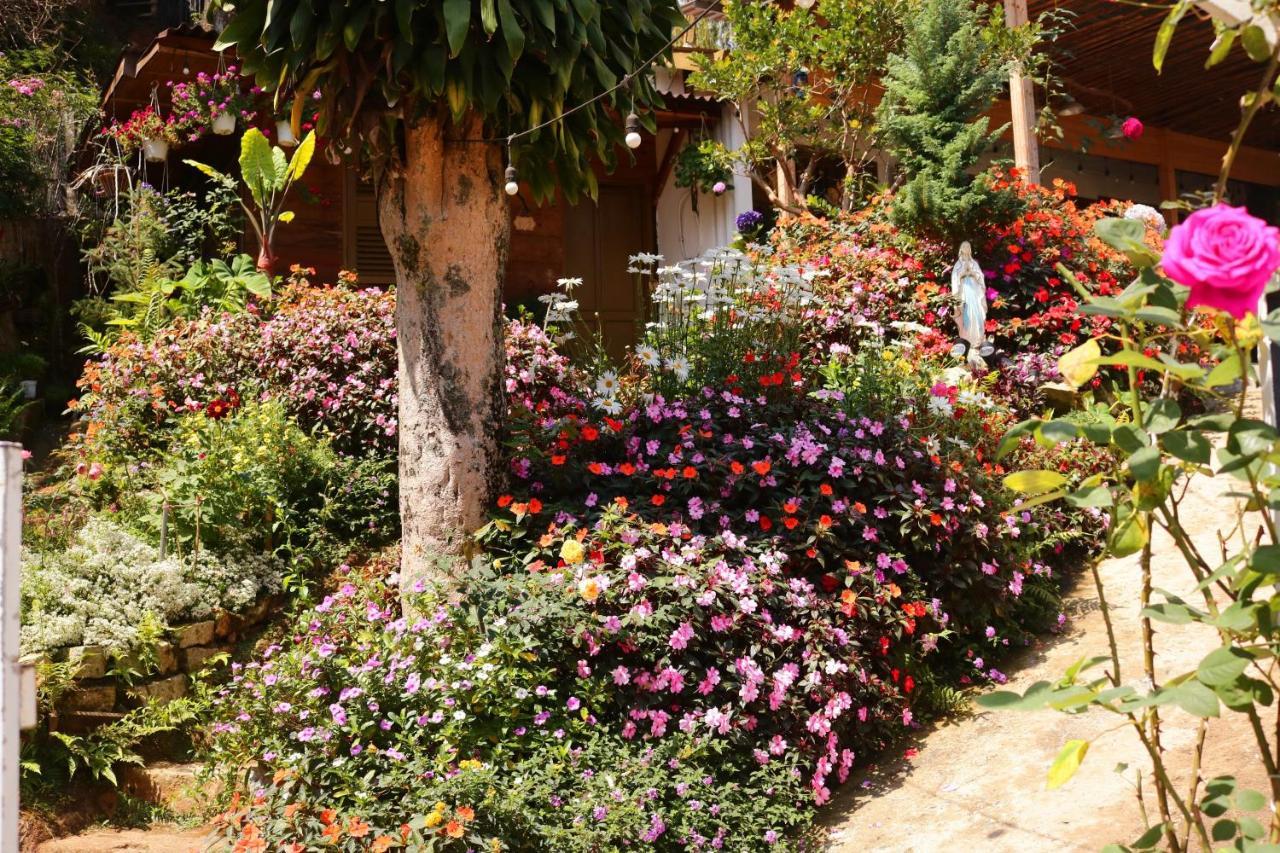 Soul Pnb Homestay Da Lat Buitenkant foto