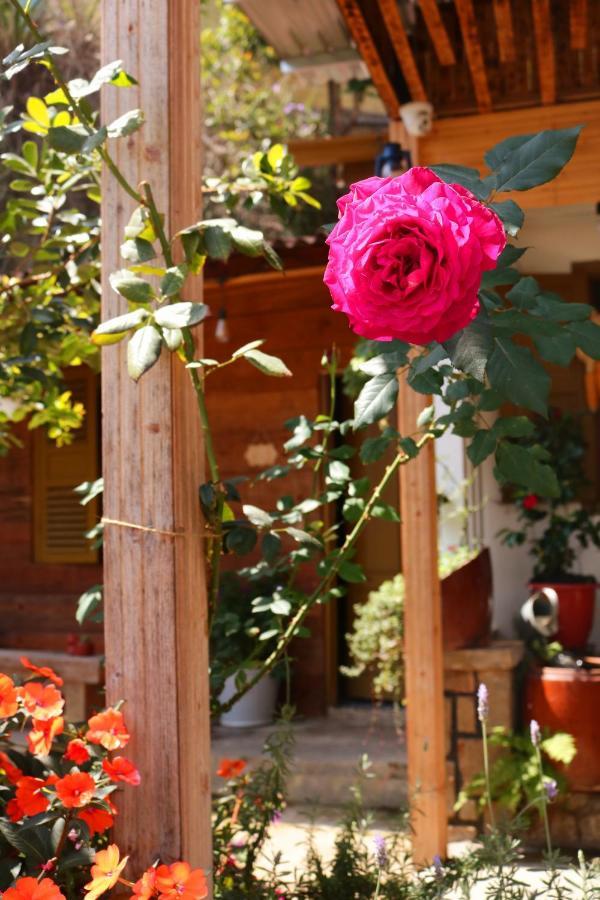 Soul Pnb Homestay Da Lat Buitenkant foto