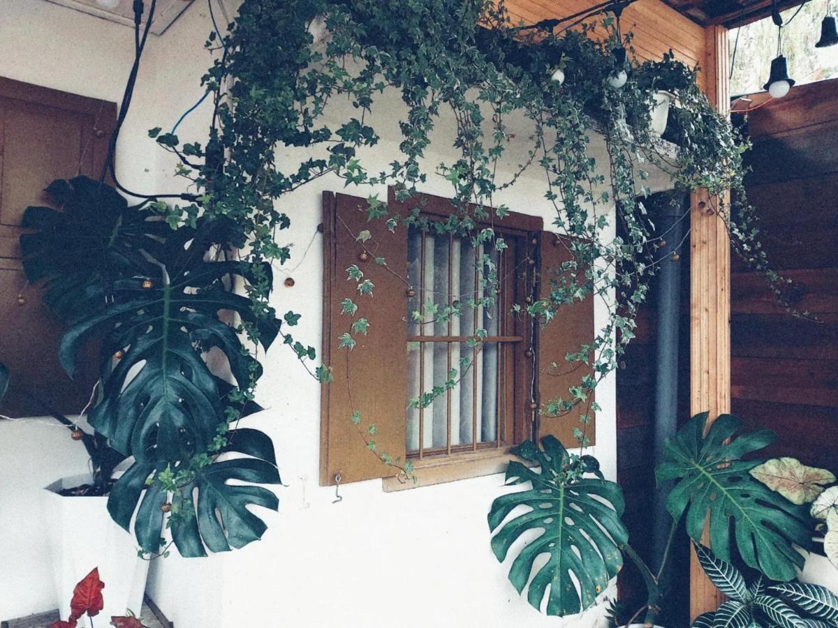 Soul Pnb Homestay Da Lat Buitenkant foto