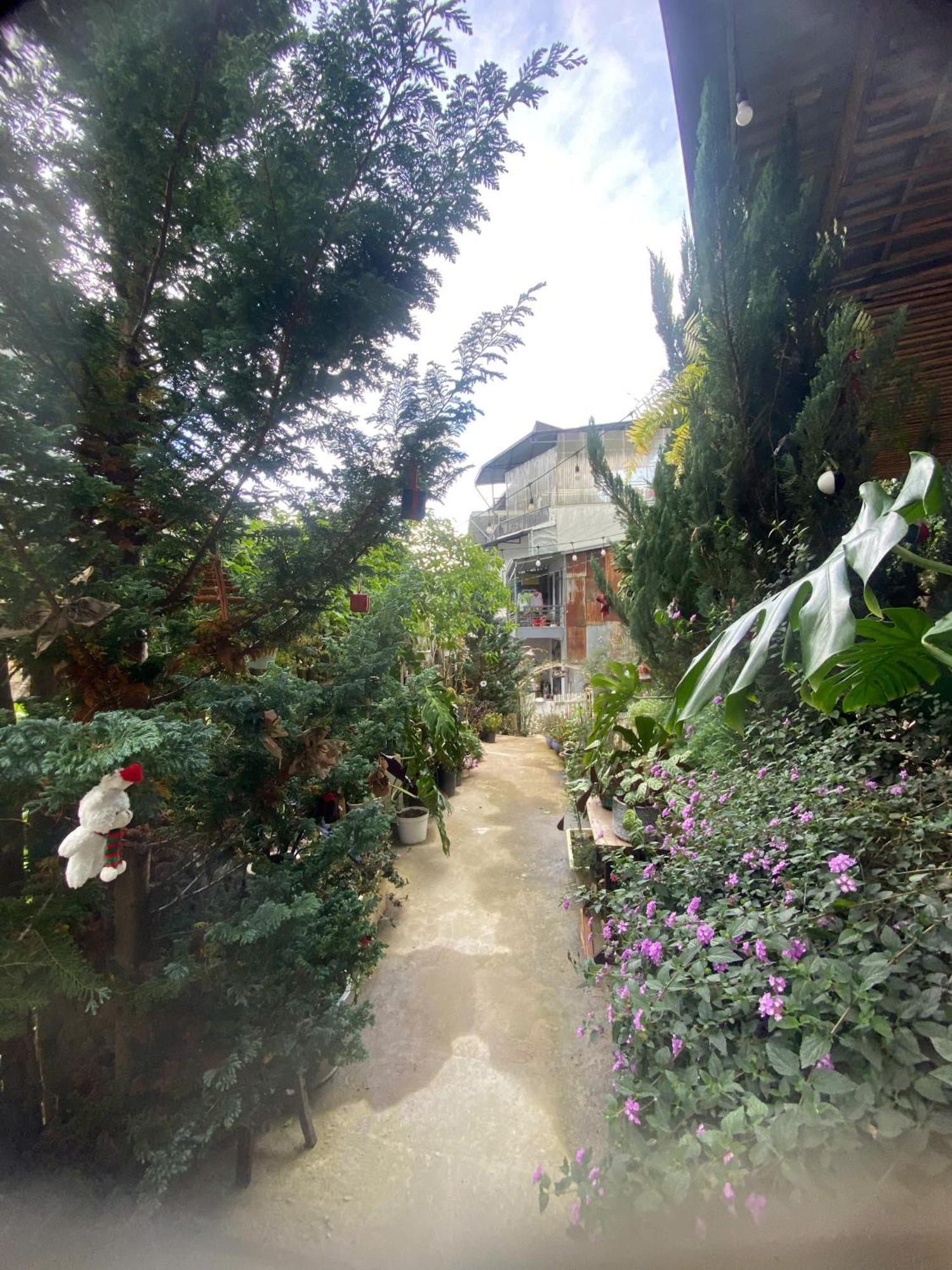 Soul Pnb Homestay Da Lat Buitenkant foto
